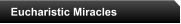 Eucharistic Miracles
